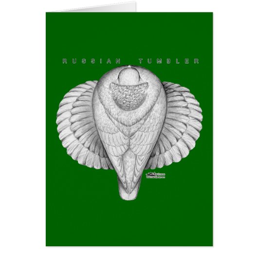 Russian Tumbler Top View (Front)