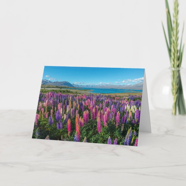 Russle Lupines at Lake Tekapo | New Zealand Card (Front)