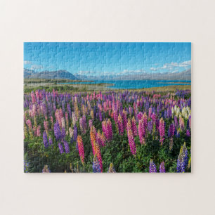 Russle Lupines at Lake Tekapo New Zealand Jigsaw Puzzle