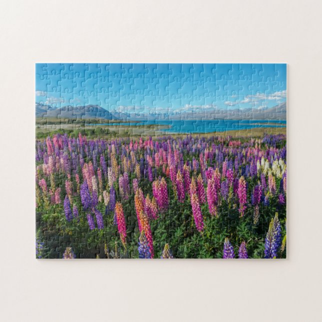 Russle Lupines at Lake Tekapo | New Zealand Jigsaw Puzzle (Horizontal)