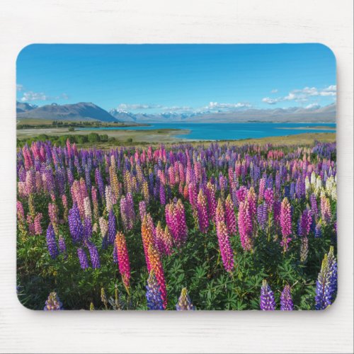 Russle Lupines at Lake Tekapo  New Zealand Mouse Pad