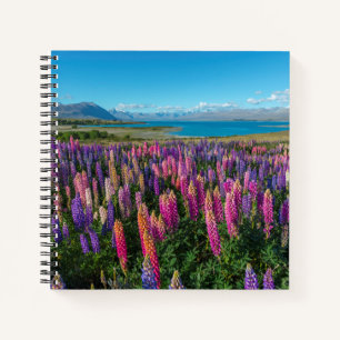 Russle Lupines at Lake Tekapo New Zealand Notebook