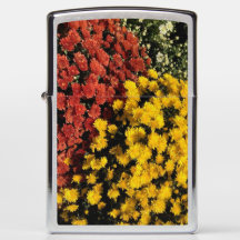 Rust and Yellow Mums