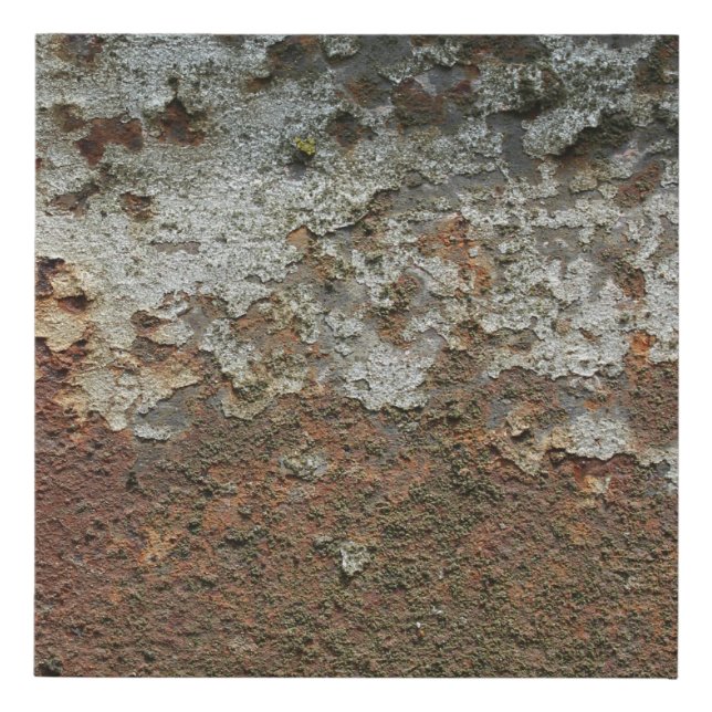Rust Faux Canvas Print (Front)