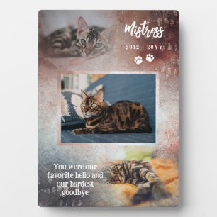Rust & Navy Paws Favorite Hello Cat Photo Memorial Plaque