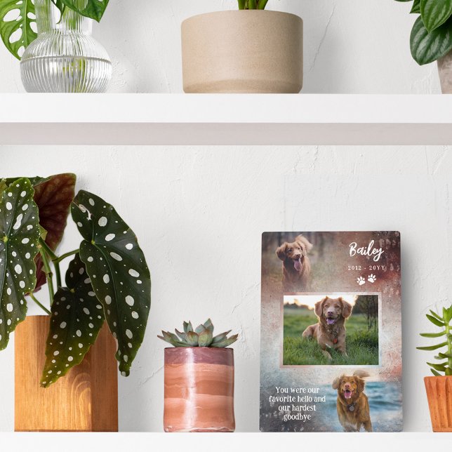 Rust & Navy Paws Favorite Hello Dog Memorial Plaque (Creator Uploaded)