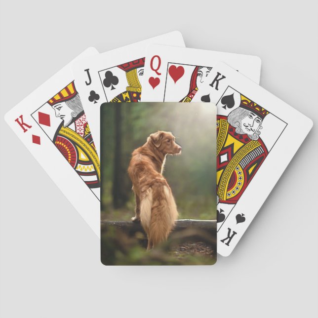 Rust Retriever from Nova Scotia Poker Cards (Back)
