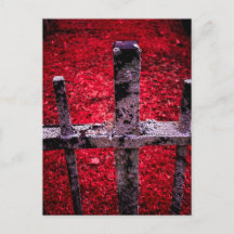 Rusted Metal Fence on Vibrant Red Background
