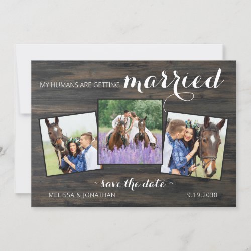 Rustic 3 Photo Horse Pet Wedding Engagement Save The Date