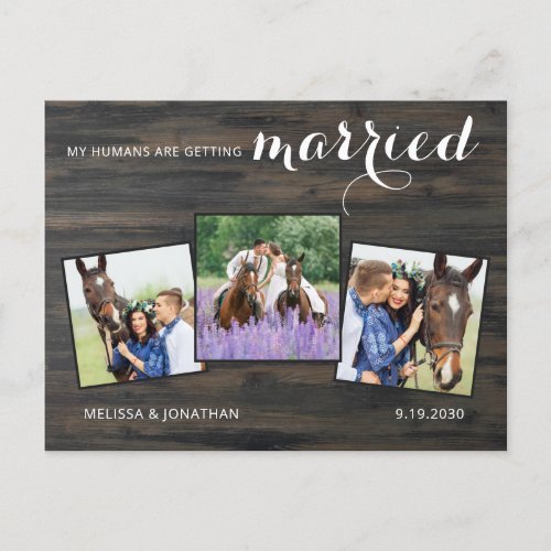 Rustic 3 Photo Horse Pet Wedding Save The Date Announcement Postcard