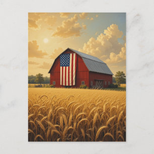 Rustic American Barn in Wheat Field at Sunset Postcard