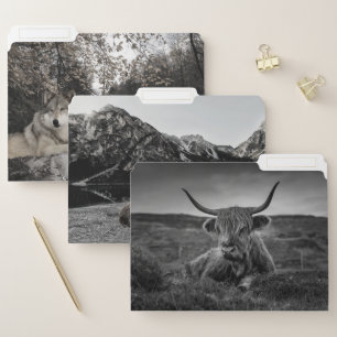 Rustic Animals Cow Wolf Bear Farmhouse Cabin File Folder