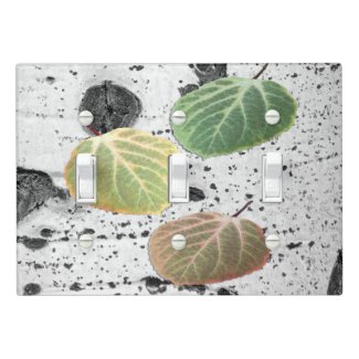 Rustic Aspen Bark Leaves in Autumn Colors Photo