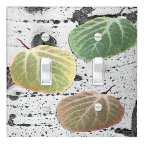 Rustic Aspen Bark Leaves in Autumn Colors Photo