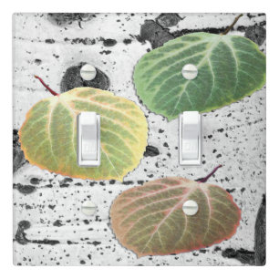 Rustic Aspen Bark Leaves in Autumn Colors Photo Light Switch Cover