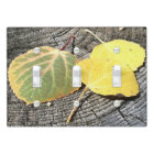 Rustic Aspen Leaves in Autumn Colors  Photograph