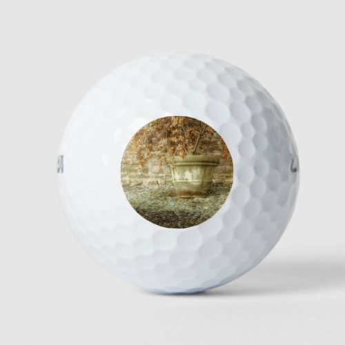 Rustic Autumn Garden Golf Balls