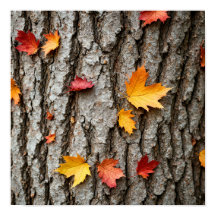 Rustic Autumn Leaves Fall Colors Tree Bark