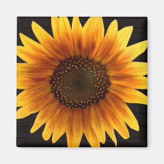 Rustic Autumn Sunflower Magnet