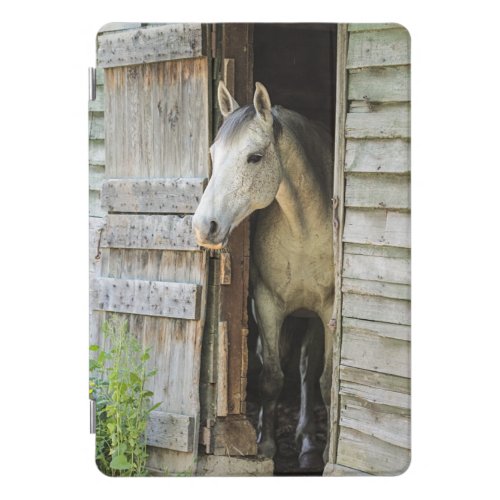 Rustic Barn  a Beautiful Horse  iPad Pro Cover