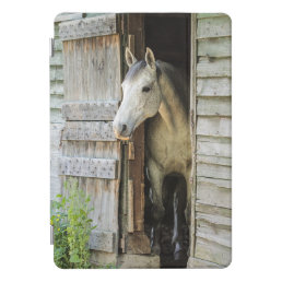 Rustic Barn + a Beautiful Horse iPad Pro Cover