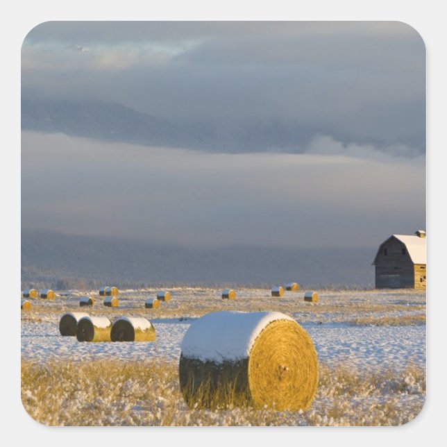 Rustic barn and hay bales after a fresh snow 3 square sticker (Front)