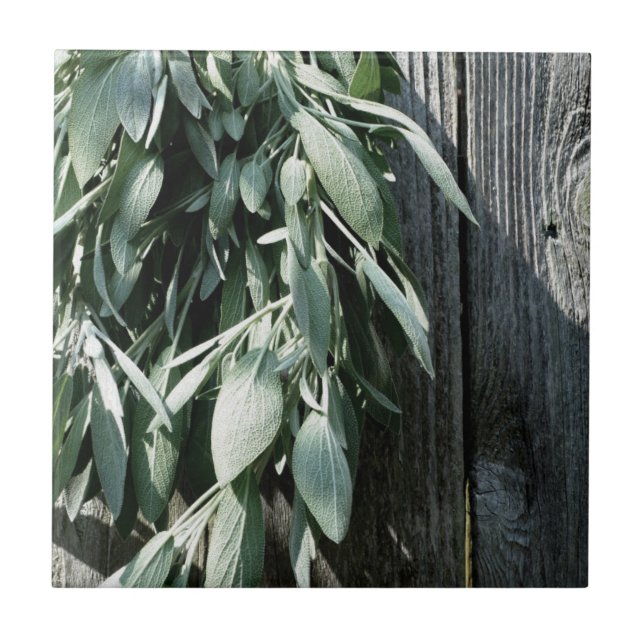 Rustic Barn-wood botanical herbs Ceramic Tile (Front)
