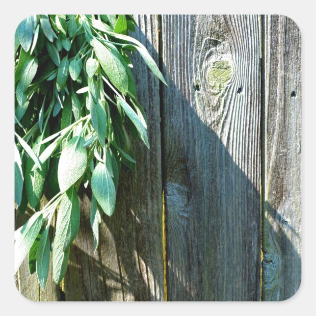 Rustic barn wood herbs greenery  square sticker (Front)