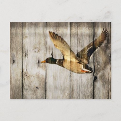 Rustic Barn wood Western Country Flying Wild Duck Postcard