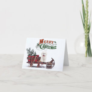 Rustic Bichon Christmas Holiday Card