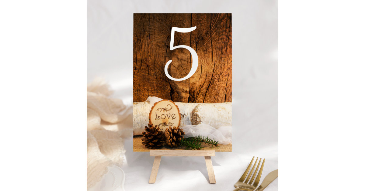 Rustic Birch Wood Table Numbers