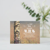 Rustic birch tree heart country save the date announcement postcard (Standing Front)