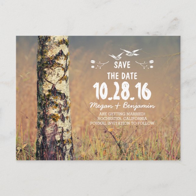 Rustic birch tree heart country save the date announcement postcard (Front)
