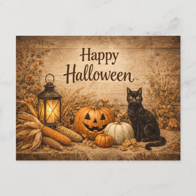 Rustic Black Cat Corn Halloween Holiday Postcard (Front)