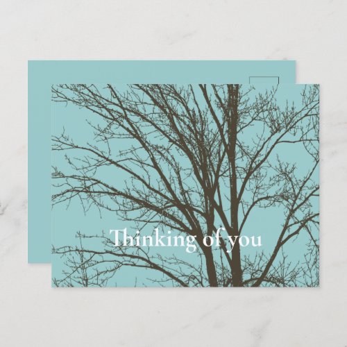 Rustic Blue Brown Tree Branches Postcard