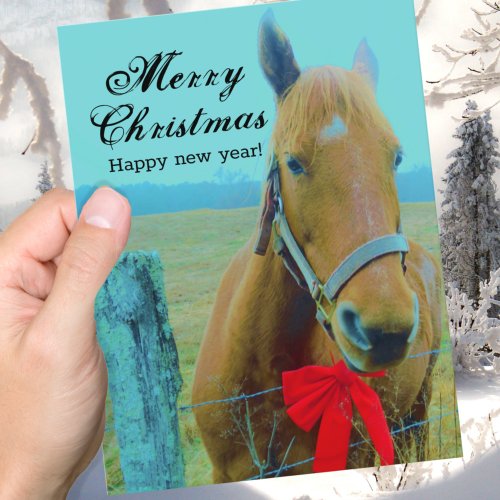 Rustic Blue Christmas Horse  Red Bow Holiday Postcard