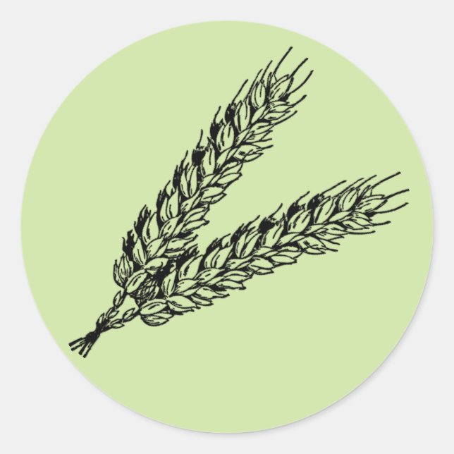 Rustic Blue Green Wheat Classic Round Sticker (Front)