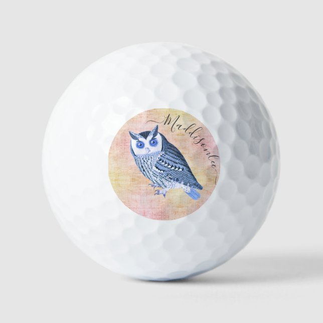 Rustic Blue Owl Monogram Name Golf Balls (Front)