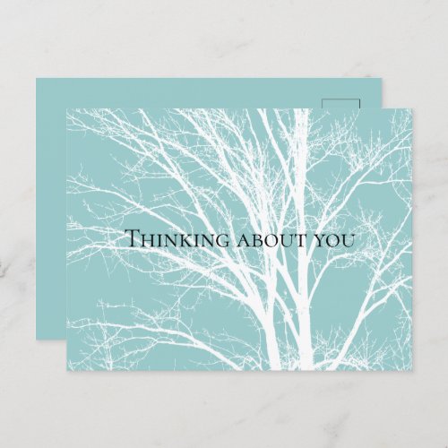 Rustic Blue White Tree Branches Postcard