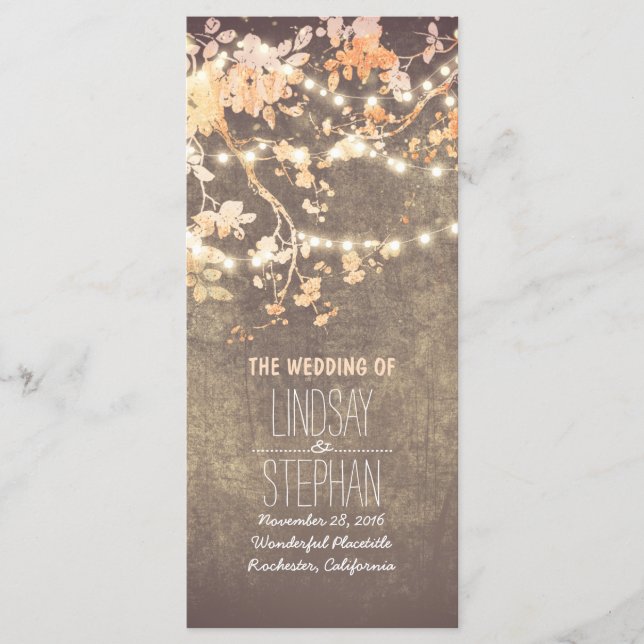 Rustic Blush Pink Tree Branches Wedding Program (Front)