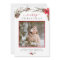 Rustic Bough | Christmas Photo