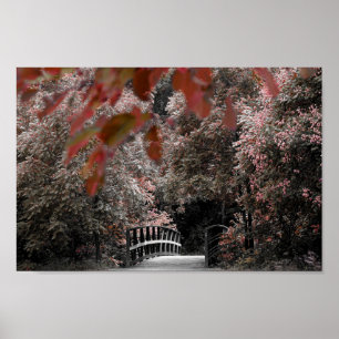 Rustic Bridge With Beautiful Trees Landscape Photo Poster