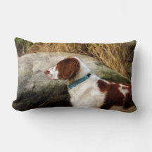 Rustic Brittany Spaniel Hunting Dog