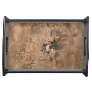 Rustic Brown Sparrow Birds Bird Lover Photography Serving Tray