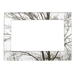 Rustic brown tree branches  magnetic frame