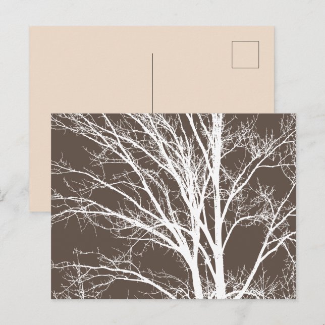 Rustic Brown White Tree Branches Postcard (Front/Back)