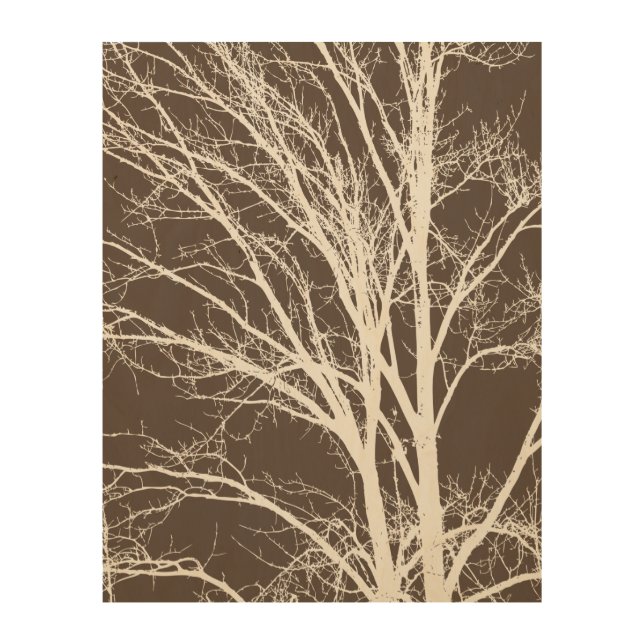 Rustic Brown White Tree Branches Wood Wall Art (Front)