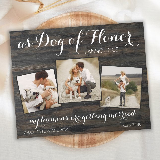 Rustic Budget Dog Photo Wedding Save The Date  