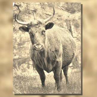 Rustic Bull Cabin Decor Decoupage