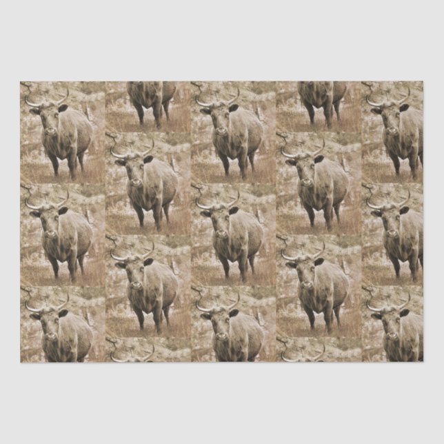 Rustic Bull on Farm  Pattern Decoupage Tissue Paper (Front)